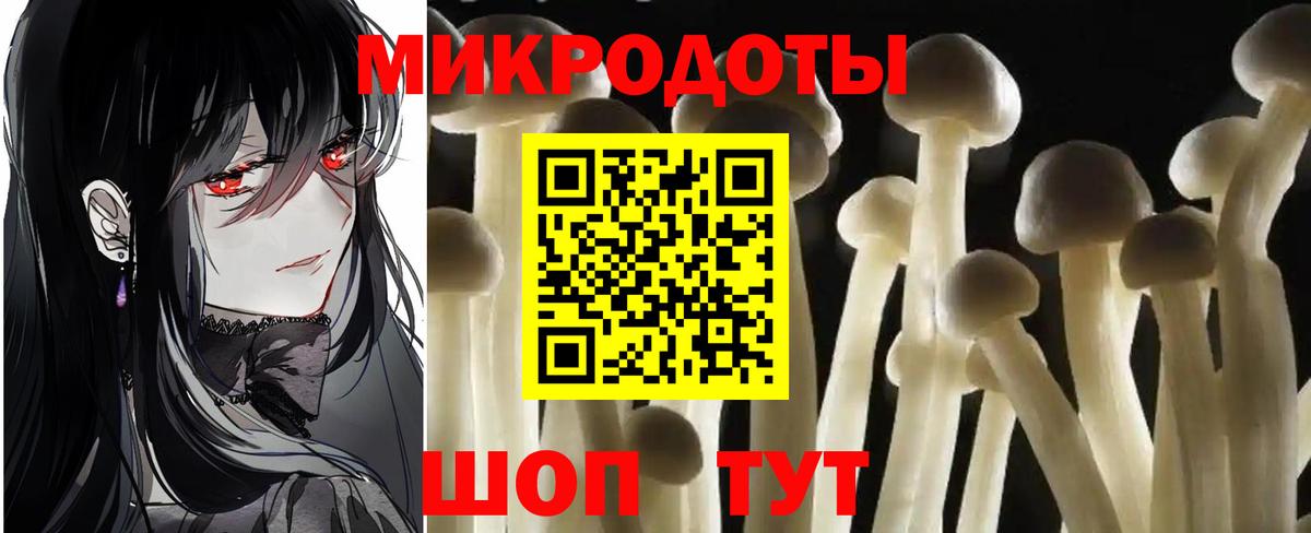Углич  Псилоцибиновые грибы Psilocybine cubensis  Вход с VPN 