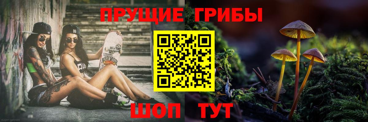 Галлюциногенные грибы Magic Shrooms Углич
